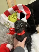 processed/e80f7a70-b1fd-47e9-9070-637117b70272/listing/b44aa4eb-ade3-44e9-a068-3f51dc8f3551/efa373c9-e1a3-49df-8827-b3c620abd519