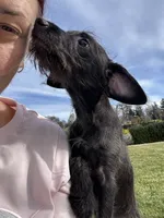 processed/e80f7a70-b1fd-47e9-9070-637117b70272/listing/b44aa4eb-ade3-44e9-a068-3f51dc8f3551/fef2a069-e83e-4256-b0bd-fea44277e891