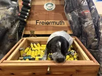 processed/e82344e8-6b38-4516-b18f-5eb705e92fc2/listing/0bd1c556-a3e4-4657-adce-8a3034e15e46/15aee07d-273a-4c65-9c62-2781352a0c9c