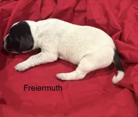 processed/e82344e8-6b38-4516-b18f-5eb705e92fc2/listing/0bd1c556-a3e4-4657-adce-8a3034e15e46/19851905-f5d5-45bc-ac72-1220091a0262