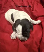 processed/e82344e8-6b38-4516-b18f-5eb705e92fc2/listing/0bd1c556-a3e4-4657-adce-8a3034e15e46/3ac5e059-b501-444e-855b-c9ae9354e74b