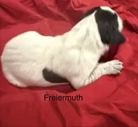 processed/e82344e8-6b38-4516-b18f-5eb705e92fc2/listing/0bd1c556-a3e4-4657-adce-8a3034e15e46/7ee5a18b-9927-4217-bfc9-761c67fbbab0