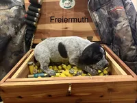 processed/e82344e8-6b38-4516-b18f-5eb705e92fc2/listing/0bd1c556-a3e4-4657-adce-8a3034e15e46/b3c21205-48d9-4c03-bc10-cbcd1899852e