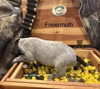 processed/e82344e8-6b38-4516-b18f-5eb705e92fc2/listing/0bd1c556-a3e4-4657-adce-8a3034e15e46/e53fd8d1-3110-4886-9caf-b38b9fb73094