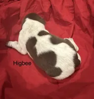 processed/e82344e8-6b38-4516-b18f-5eb705e92fc2/listing/16f8b259-9db9-4f00-8342-d8ddb0bb9c93/1eb0eb17-d506-410b-8710-5142db2e7d1c