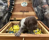 processed/e82344e8-6b38-4516-b18f-5eb705e92fc2/listing/16f8b259-9db9-4f00-8342-d8ddb0bb9c93/ba107962-36ac-4bcf-bc6b-745b62c7edb0