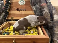 processed/e82344e8-6b38-4516-b18f-5eb705e92fc2/listing/16f8b259-9db9-4f00-8342-d8ddb0bb9c93/ccd180ae-db05-4f47-8649-d725f760d4cc