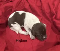 processed/e82344e8-6b38-4516-b18f-5eb705e92fc2/listing/16f8b259-9db9-4f00-8342-d8ddb0bb9c93/cded9c71-a2cb-42ae-9f5f-0591a21159a7