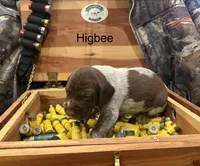 processed/e82344e8-6b38-4516-b18f-5eb705e92fc2/listing/16f8b259-9db9-4f00-8342-d8ddb0bb9c93/fe5b53bf-92aa-42f3-b33b-45900d653681