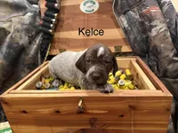 processed/e82344e8-6b38-4516-b18f-5eb705e92fc2/listing/3e1f1804-cdee-499f-bdb6-b5d0a0d33894/331073eb-e17b-4416-8c99-a3ec540775db