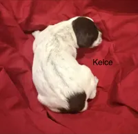 processed/e82344e8-6b38-4516-b18f-5eb705e92fc2/listing/3e1f1804-cdee-499f-bdb6-b5d0a0d33894/7e20d03a-6e07-4d8d-9b04-a36dde6d2903