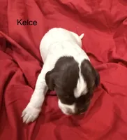 processed/e82344e8-6b38-4516-b18f-5eb705e92fc2/listing/3e1f1804-cdee-499f-bdb6-b5d0a0d33894/8b327a70-c8ec-4519-b843-51d02b0a9bea