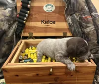 processed/e82344e8-6b38-4516-b18f-5eb705e92fc2/listing/3e1f1804-cdee-499f-bdb6-b5d0a0d33894/8d83c213-1c96-4926-ba34-281b881205d9