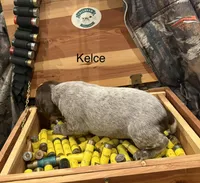 processed/e82344e8-6b38-4516-b18f-5eb705e92fc2/listing/3e1f1804-cdee-499f-bdb6-b5d0a0d33894/95cf018d-df48-479b-8855-c9a2546b4365