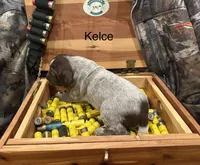 processed/e82344e8-6b38-4516-b18f-5eb705e92fc2/listing/3e1f1804-cdee-499f-bdb6-b5d0a0d33894/b2a52b3b-5b91-4c47-be35-27875956c8fe