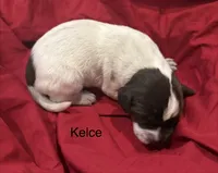 processed/e82344e8-6b38-4516-b18f-5eb705e92fc2/listing/3e1f1804-cdee-499f-bdb6-b5d0a0d33894/ff7dea17-1aa6-49b9-b041-6264bf6d684c