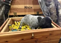 processed/e82344e8-6b38-4516-b18f-5eb705e92fc2/listing/49c501c6-65ac-4f31-9349-160ead4fb4b7/05d75965-dd2a-4fe4-afc8-e522e6a47d62