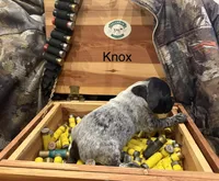 processed/e82344e8-6b38-4516-b18f-5eb705e92fc2/listing/49c501c6-65ac-4f31-9349-160ead4fb4b7/121d2bba-a907-41e5-b34e-064741ddc5d0