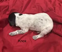 processed/e82344e8-6b38-4516-b18f-5eb705e92fc2/listing/49c501c6-65ac-4f31-9349-160ead4fb4b7/1aff239f-d51f-44a5-bd59-854b8c8d3c91