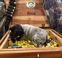 processed/e82344e8-6b38-4516-b18f-5eb705e92fc2/listing/49c501c6-65ac-4f31-9349-160ead4fb4b7/8f75d4a9-7103-4fdb-9757-f855039f5eb3