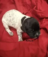 processed/e82344e8-6b38-4516-b18f-5eb705e92fc2/listing/49c501c6-65ac-4f31-9349-160ead4fb4b7/ed5019fc-e9b1-492a-bf51-5157b1708ca4