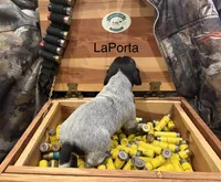 processed/e82344e8-6b38-4516-b18f-5eb705e92fc2/listing/4cde03f2-f76c-405f-82a5-16ee640b3c9a/467180c3-5665-4bbc-bedd-d2c4328f566e