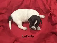 processed/e82344e8-6b38-4516-b18f-5eb705e92fc2/listing/4cde03f2-f76c-405f-82a5-16ee640b3c9a/6e16a5be-b0c0-4421-8c50-69a0b49484da