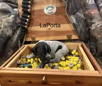 processed/e82344e8-6b38-4516-b18f-5eb705e92fc2/listing/4cde03f2-f76c-405f-82a5-16ee640b3c9a/92c49fb9-9b65-4cf0-b97e-e2844c8a813d