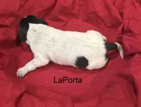 processed/e82344e8-6b38-4516-b18f-5eb705e92fc2/listing/4cde03f2-f76c-405f-82a5-16ee640b3c9a/bcd7989f-2617-4488-a1f0-0bdabcd331ff