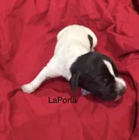 processed/e82344e8-6b38-4516-b18f-5eb705e92fc2/listing/4cde03f2-f76c-405f-82a5-16ee640b3c9a/dd129589-7af1-4c45-ac96-7cfb79e52859