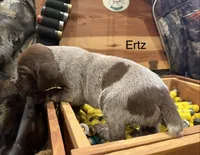 processed/e82344e8-6b38-4516-b18f-5eb705e92fc2/listing/68619ab8-c542-43a8-91d3-8d8c2b9fce5b/4ad1bddc-3302-46cd-886a-c288443bba38