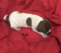 processed/e82344e8-6b38-4516-b18f-5eb705e92fc2/listing/68619ab8-c542-43a8-91d3-8d8c2b9fce5b/7ef11028-5288-43ad-82bc-e03cada49587