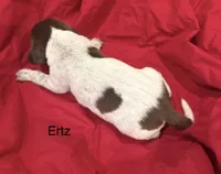 processed/e82344e8-6b38-4516-b18f-5eb705e92fc2/listing/68619ab8-c542-43a8-91d3-8d8c2b9fce5b/8f295056-7698-42cc-b38c-dbc8dc33c6c8