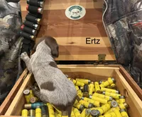 processed/e82344e8-6b38-4516-b18f-5eb705e92fc2/listing/68619ab8-c542-43a8-91d3-8d8c2b9fce5b/8fb8346b-2b99-40be-b027-f2fdfdc7b03e