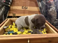 processed/e82344e8-6b38-4516-b18f-5eb705e92fc2/listing/68619ab8-c542-43a8-91d3-8d8c2b9fce5b/a06e079c-5034-4006-9a5e-385f0e35187f