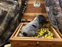 processed/e82344e8-6b38-4516-b18f-5eb705e92fc2/listing/b2f35806-82cb-4daa-8a8c-8dbcdc97417f/351606b4-7600-4d95-a2d8-fa76193f25ea