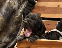 processed/e82344e8-6b38-4516-b18f-5eb705e92fc2/listing/b2f35806-82cb-4daa-8a8c-8dbcdc97417f/400d9bb7-25eb-48dc-bc30-29aa6ffe0142