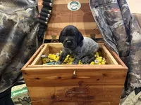 processed/e82344e8-6b38-4516-b18f-5eb705e92fc2/listing/b2f35806-82cb-4daa-8a8c-8dbcdc97417f/591ab12c-7678-4649-9875-a9c2197ec67c