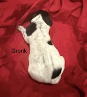 processed/e82344e8-6b38-4516-b18f-5eb705e92fc2/listing/b2f35806-82cb-4daa-8a8c-8dbcdc97417f/697694e2-232c-4fe5-98d2-9c7bece59c0c