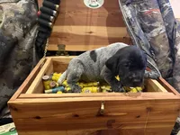 processed/e82344e8-6b38-4516-b18f-5eb705e92fc2/listing/b2f35806-82cb-4daa-8a8c-8dbcdc97417f/c0dc0f58-9121-4dd9-ba51-526adc346c13