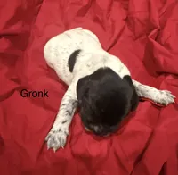 processed/e82344e8-6b38-4516-b18f-5eb705e92fc2/listing/b2f35806-82cb-4daa-8a8c-8dbcdc97417f/cd084949-e7a6-448f-84a2-514c88c5fa24