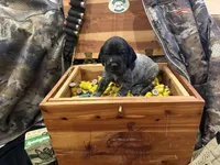 processed/e82344e8-6b38-4516-b18f-5eb705e92fc2/listing/b2f35806-82cb-4daa-8a8c-8dbcdc97417f/dfc5a539-5934-48bb-b99c-33759abffe3f