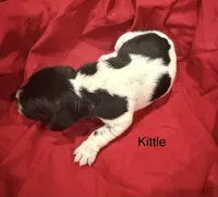 processed/e82344e8-6b38-4516-b18f-5eb705e92fc2/listing/b9c3ef0b-52fc-443f-a9e5-0e0581ead937/459bb670-186e-4139-ab44-5872b93f3eef