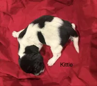 processed/e82344e8-6b38-4516-b18f-5eb705e92fc2/listing/b9c3ef0b-52fc-443f-a9e5-0e0581ead937/da797e20-e472-4c29-b79d-468bf8fcf5f8