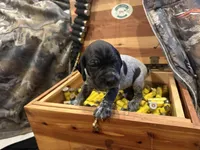 processed/e82344e8-6b38-4516-b18f-5eb705e92fc2/listing/dcef98bc-f8d0-4058-bd57-22541c8143c9/2b6962b0-70bf-45c3-973d-f40f644580f4