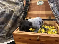 processed/e82344e8-6b38-4516-b18f-5eb705e92fc2/listing/dcef98bc-f8d0-4058-bd57-22541c8143c9/56ca8eac-2248-44e3-82f4-8f55c8a3186f