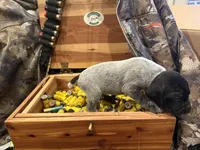 processed/e82344e8-6b38-4516-b18f-5eb705e92fc2/listing/dcef98bc-f8d0-4058-bd57-22541c8143c9/6ee3d1c9-df8e-45ec-8eda-faa46ff77b56