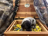 processed/e82344e8-6b38-4516-b18f-5eb705e92fc2/listing/dcef98bc-f8d0-4058-bd57-22541c8143c9/6fc72bd2-6de9-4d2f-a05b-72af7fbafa3f