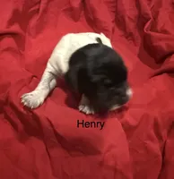 processed/e82344e8-6b38-4516-b18f-5eb705e92fc2/listing/dcef98bc-f8d0-4058-bd57-22541c8143c9/a8b64a16-d0da-4a3d-b274-144582e6e045