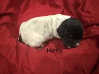 processed/e82344e8-6b38-4516-b18f-5eb705e92fc2/listing/dcef98bc-f8d0-4058-bd57-22541c8143c9/b5af5e0a-7f42-4e96-902c-a9de17745320